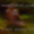 Black pussy 65804