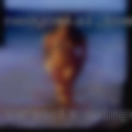 Sarasota swingers these