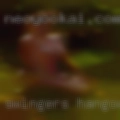 Swingers hangouts Ventura
